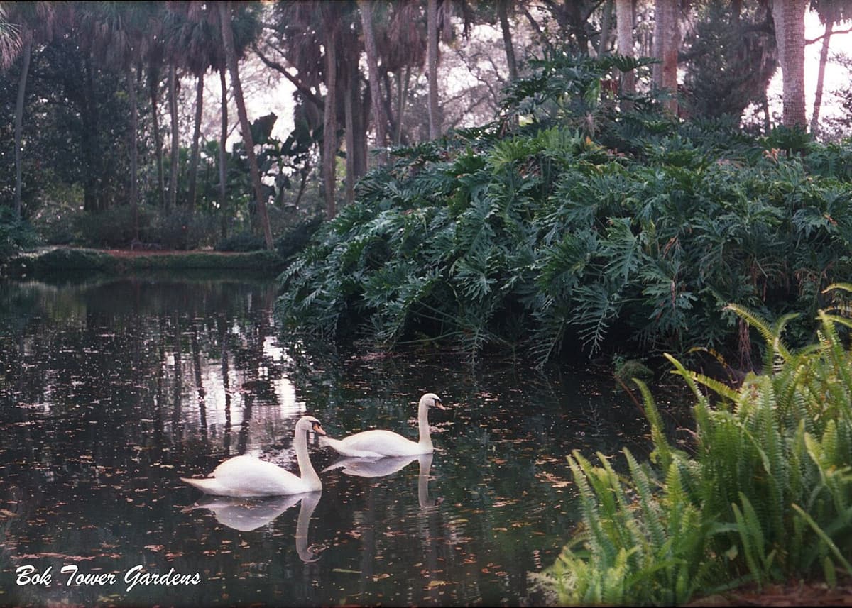 Bok Tower Gardens