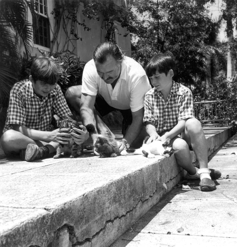 The Hemingway Cats