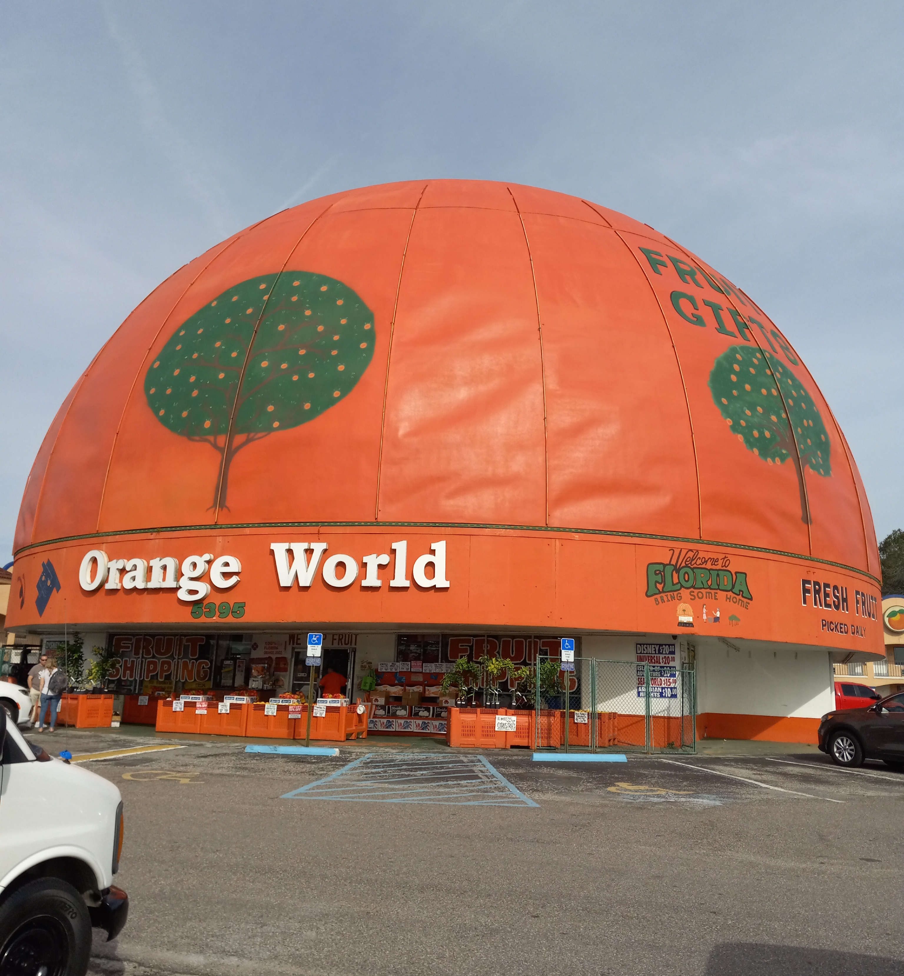Orange World