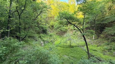 The Devil's Millhopper
