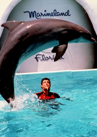 Marineland
