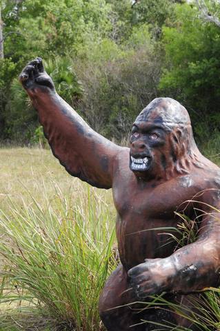 Skunk Ape Research Headquarters