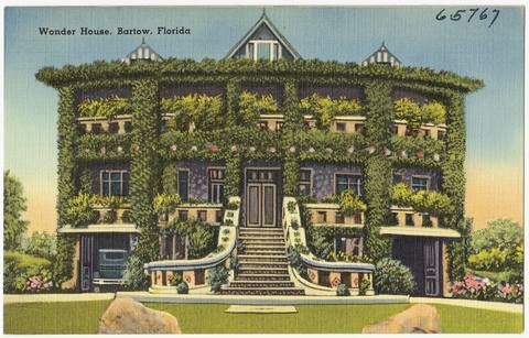 Wonder House