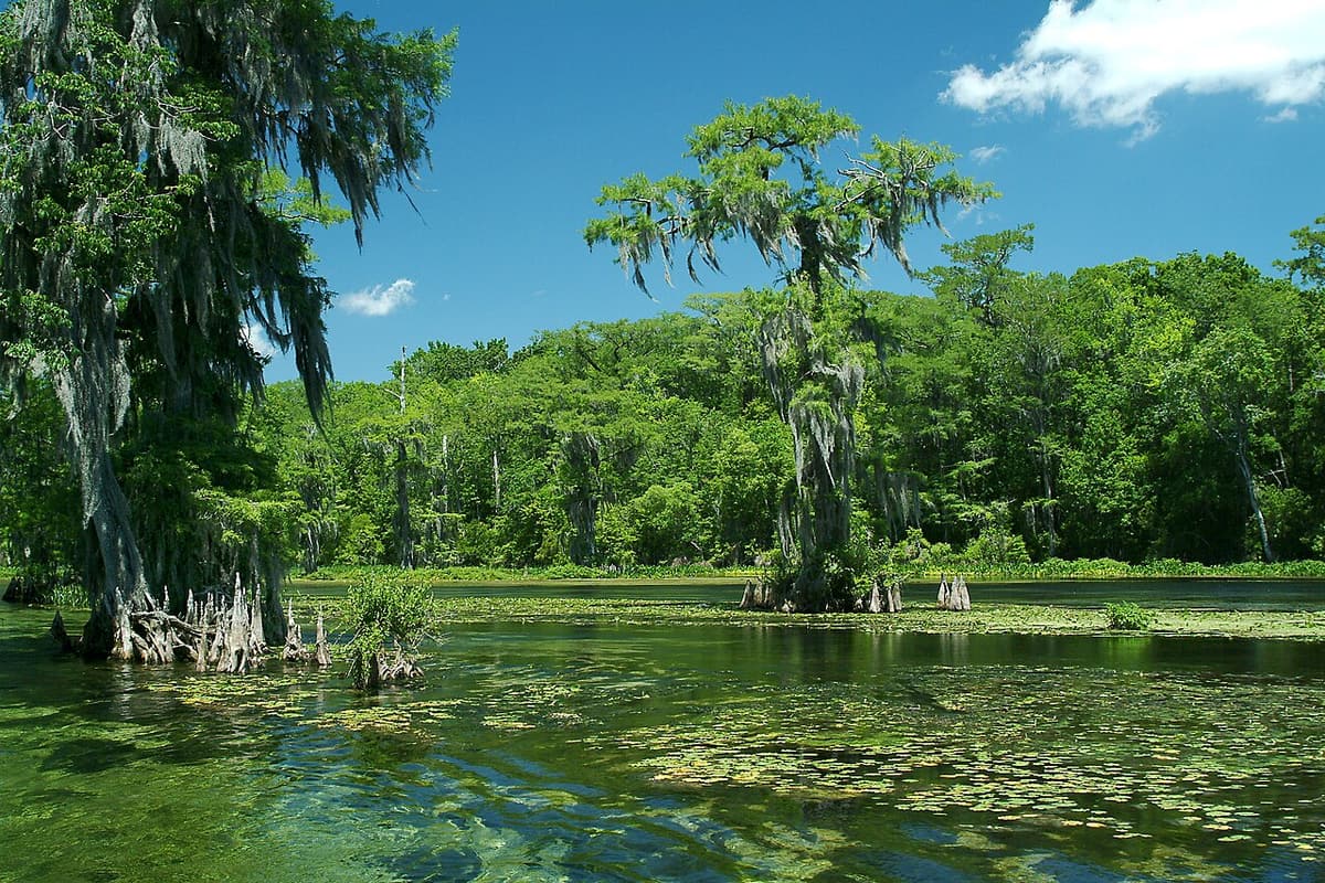 Wakulla Springs