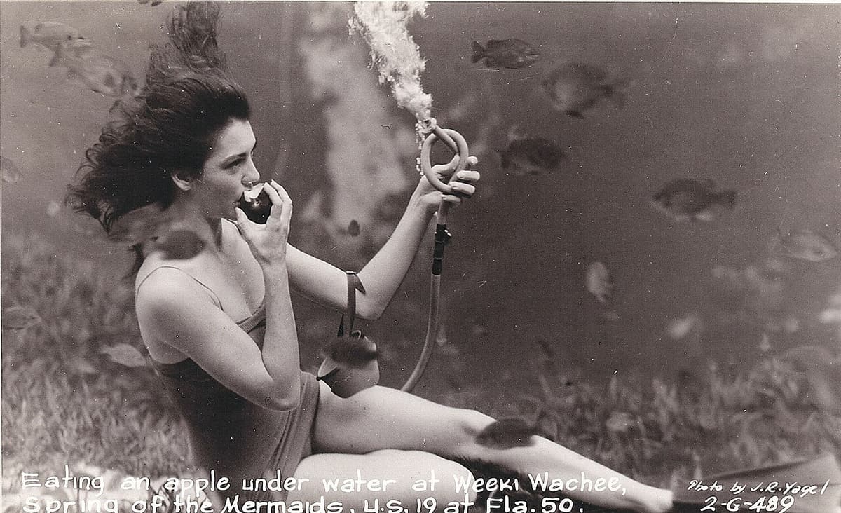 Weeki Wachee Springs